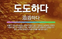 🌟도도하다: 물이 그득 퍼져 흐르는 모양이 막힘이 없고 기운차다., 말하는 모양이 거침이 없다., 벅찬 감... - 표준국어대사전