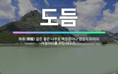 🌟도듬: 화류(樺榴) 같은 좋은 나무로 벽장문이나 맹장지 따위의 가장자리를 꾸민 테두리. - 표준국어대사전