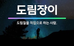 🌟도림장이: 도림질을 직업으로 하는 사람. - 표준국어대사전