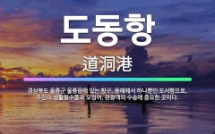 🌟도동항: 경상북도 울릉군 울릉읍에 있는 항구. 동해에서 하나뿐인 도서항으로, 주민의 생활필수품과 오징어,... - 표준국어대사전