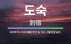 🌟도숙: 숙직하거나 숙위(宿衛)하던 일. 또는 그렇게 한 날수. - 표준국어대사전