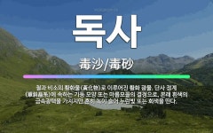🌟독사: 철과 비소의 황화물(黃化物)로 이루어진 황화 광물. 단사 정계(單斜晶系)에 속하는 기둥 모양 또는... - 표준국어대사전