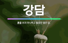 🌟강담: 흙을 쓰지 아니하고 돌로만 쌓은 담. - 표준국어대사전