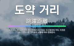 🌟도약 거리: 송신국과 전리층에 의한 반사 파동이 수신되는 수신점과의 거리. 이것은 송신 주파수와 전리층의... - 표준국어대사전