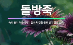 🌟돌방죽: 속의 흙이 허물어지지 않도록 겉을 돌로 쌓아 만든 방죽. - 표준국어대사전