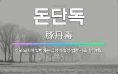 🌟돈단독: 주로 돼지에 발병하는 급성 패혈성 법정 가축 전염병의 하나. - 표준국어대사전