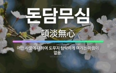 🌟돈담무심: 어떤 사물에 대하여 도무지 탐탁하게 여기는 마음이 없음. - 표준국어대사전