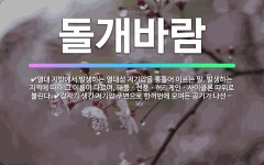 🌟돌개바람: 열대 지방에서 발생하는 열대성 저기압을 통틀어 이르는 말. 발생하는 지역에 따라 그 이름이 다... - 표준국어대사전