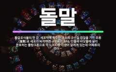 🌟돌말: 황갈조식물의 한 강. 세포막에 특수한 구조의 규산질 껍질을 가진 조류(藻類)로 세포가 퇴적하면 규... - 표준국어대사전