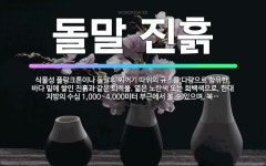 🌟돌말 진흙: 식물성 플랑크톤이나 돌말의 찌꺼기 따위의 규조를 다량으로 함유한, 바다 밑에 쌓인 진흙과 같... - 표준국어대사전