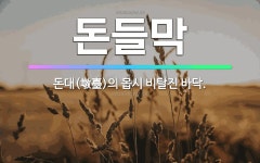 🌟돈들막: 돈대(墩臺)의 몹시 비탈진 바닥. - 표준국어대사전