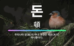 🌟돈: 우리나라 성(姓)의 하나. 본관은 목천(木川) 하나뿐이다. - 표준국어대사전