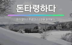 🌟돈타령하다: 돈이 없다고 푸념이나 사설을 늘어놓다. - 표준국어대사전