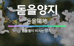 🌟돋을양지: 돋을볕이 비치는 양지. - 표준국어대사전