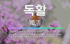 🌟독활: 두릅나뭇과의 여러해살이풀. 줄기는 높이가 1.5미터 정도이며, 잎은 우상 복엽이다. 여름에 연한 ... - 표준국어대사전