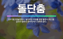 🌟돌단춤: 양주 별산대놀이에서, 놀이마당 주위를 빙빙 돌면서 추는 춤. 잡귀가 범하지 못하게 하기 위하여 춘다. - 표준국어대사전