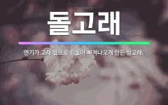 🌟돌고래: 연기가 고래 밑으로 되돌아 빠져나오게 만든 방고래. - 표준국어대사전