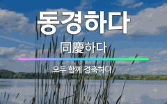 🌟동경하다: 모두 함께 경축하다. - 표준국어대사전