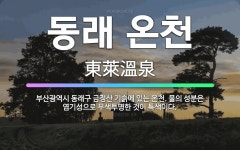 🌟동래 온천: 부산광역시 동래구 금정산 기슭에 있는 온천. 물의 성분은 염기성으로 무색투명한 것이 특색이다. - 표준국어대사전