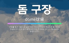 🌟돔 구장: 전체를 둥근 지붕으로 덮은 구장. 1965년 미국의 텍사스주 휴스턴에 건설된 아스트로 돔이 세... - 표준국어대사전