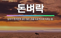 🌟돈벼락: 갑자기 한꺼번에 생긴 많은 돈을 비유적으로 이르는 말. - 표준국어대사전