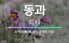 🌟동과: 과거(科擧)에 같이 급제한 사람. - 표준국어대사전