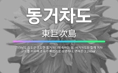 🌟동거차도: 전라남도 진도군 조도면 동거차리에 속하는 섬. 서거차도와 함께 거차 군도를 이루며 조류가 빠르... - 표준국어대사전