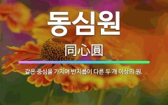 🌟동심원: 같은 중심을 가지며 반지름이 다른 두 개 이상의 원. - 표준국어대사전