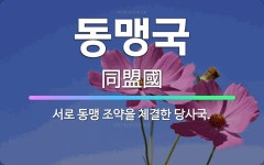 🌟동맹국: 서로 동맹 조약을 체결한 당사국. - 표준국어대사전