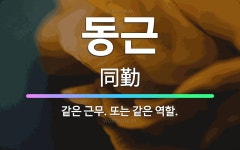 🌟동근: 같은 근무. 또는 같은 역할. - 표준국어대사전