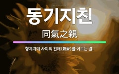 🌟동기지친: 형제자매 사이의 친애(親愛)를 이르는 말. - 표준국어대사전