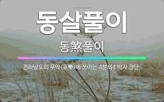 🌟동살풀이: 전라남도의 무악(巫樂)에 쓰이는 4분의4 박자 장단. - 표준국어대사전