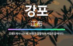 🌟강포: 강원도에서 나는 베. 바탕은 깔깔하며 색깔은 갈색이다. - 표준국어대사전