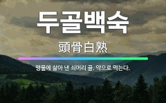 🌟두골백숙: 맹물에 삶아 낸 쇠머리 골. 약으로 먹는다. - 표준국어대사전