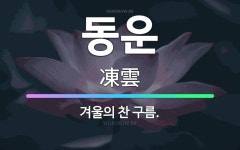🌟동운: 겨울의 찬 구름. - 표준국어대사전