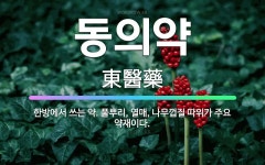 🌟동의약: 한방에서 쓰는 약. 풀뿌리, 열매, 나무껍질 따위가 주요 약재이다. - 표준국어대사전