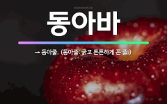 🌟동아바: → 동아줄. (동아줄: 굵고 튼튼하게 꼰 줄.) - 표준국어대사전