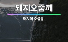 🌟돼지오줌깨: 돼지의 오줌통. - 표준국어대사전