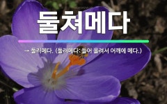 🌟둘쳐메다: → 둘러메다. (둘러메다: 들어 올려서 어깨에 메다.) - 표준국어대사전