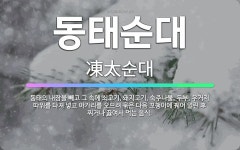 🌟동태순대: 동태의 내장을 빼고 그 속에 쇠고기, 돼지고기, 숙주나물, 두부, 우거지 따위를 다져 넣고 아... - 표준국어대사전