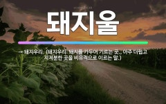 🌟돼지울: → 돼지우리. (돼지우리: 돼지를 가두어 기르는 곳., 아주 더럽고 지저분한 곳을 비유적으로 이... - 표준국어대사전