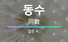 🌟동수: 같은 수. - 표준국어대사전