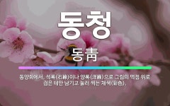 🌟동청: 동양화에서, 석록(石綠)이나 양록(洋綠)으로 그림의 먹점 위로 검은 테만 남기고 눌러 찍는 채색(... - 표준국어대사전