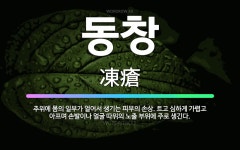 🌟동창: 추위에 몸의 일부가 얼어서 생기는 피부의 손상. 트고 심하게 가렵고 아프며 손발이나 얼굴 따위의 ... - 표준국어대사전