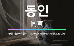 🌟동인: 높은 벼슬아치들이 서로 공경하는 동료라는 뜻으로 쓰던 말. - 표준국어대사전