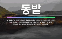 🌟동발: ‘동바리’의 준말. (동바리: 갱도 따위가 무너지지 않게 받치는 나무 기둥.), ‘동바리’의 준말... - 표준국어대사전
