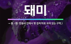 🌟돼미: → 뜸. (뜸: 한동네 안에서 몇 집씩 따로 모여 있는 구역.) - 표준국어대사전
