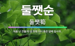 🌟둘쨋순: 처음 난 것을 따 낸 뒤에 다시 돋은 담배 잎사귀. - 표준국어대사전