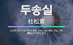 🌟두송실: 노간주나무, 두송 따위의 열매. 건위, 소화, 해독, 이뇨, 구풍(驅風)의 약재로 쓴다. - 표준국어대사전
