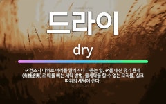 🌟드라이: 건조기 따위로 머리를 말리거나 다듬는 일., 물 대신 유기 용제(有機溶劑)로 때를 빼는 세탁 방... - 표준국어대사전